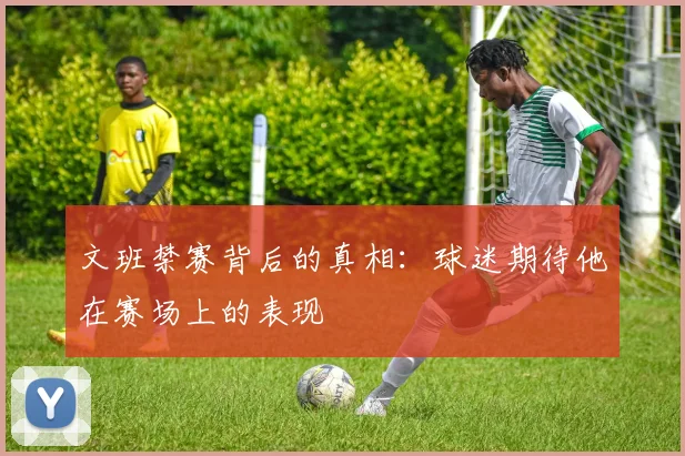 文班禁赛背后的真相：球迷期待他在赛场上的表现
